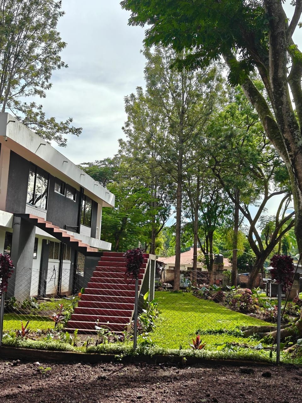Property building, Natural landscape, Garden
