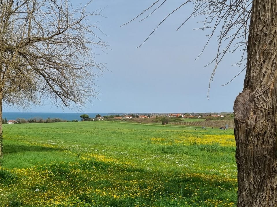 Day, Natural landscape