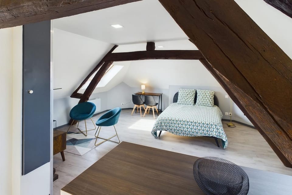 Le Cocoon Savinois Apartment in Troyes