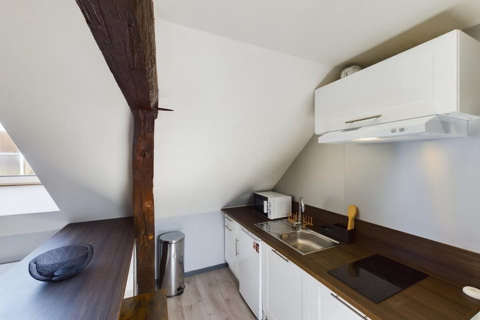 Le Cocoon Savinois Apartment in Troyes