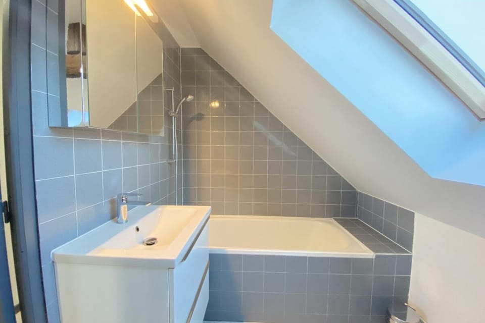Le Cocoon Savinois Apartment in Troyes