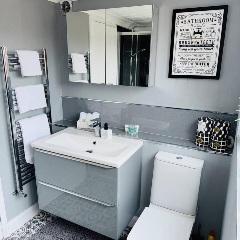 Shower, Toilet, Bathroom, towels