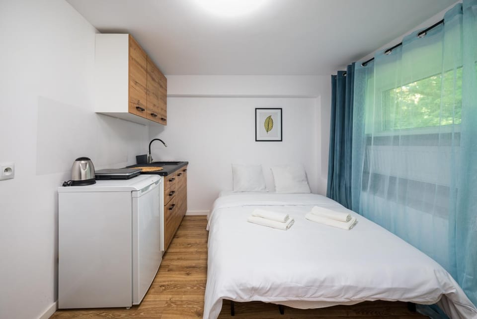 Bed, Kitchen or kitchenette, Photo of the whole room, Bedroom, oven