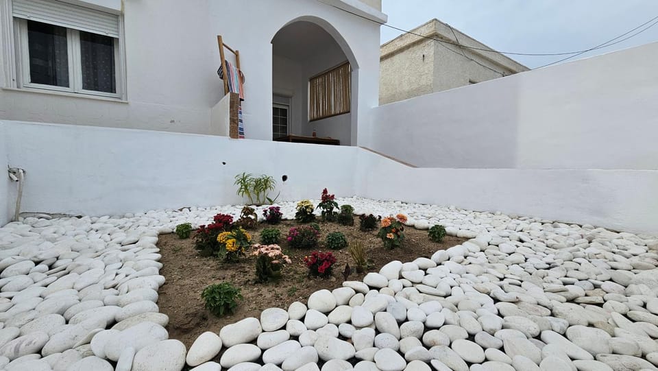 Day, Garden