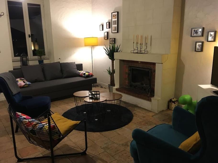 Entre châteaux et vignobles, au bord de la Loire House in Centre-Val de Loire