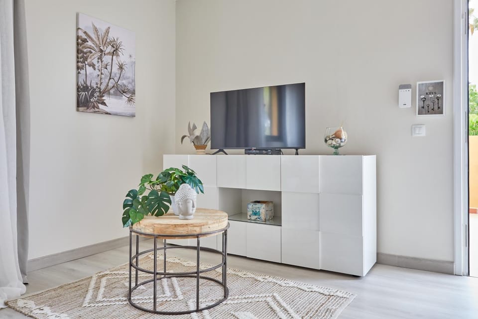 TV and multimedia