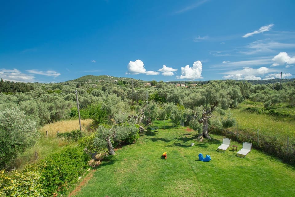 Natural landscape, Garden, Mountain view