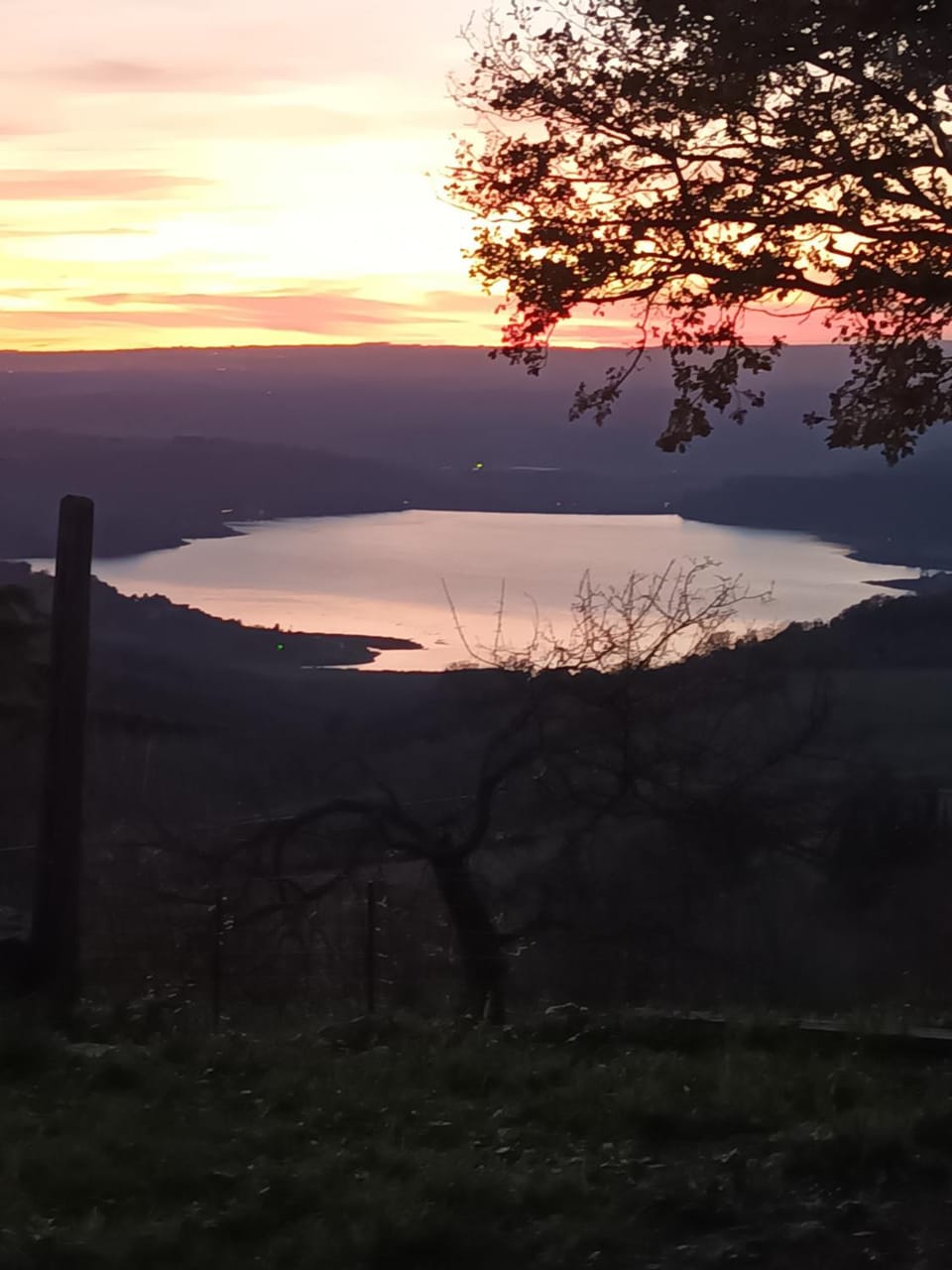 Garden, Lake view, Sunset