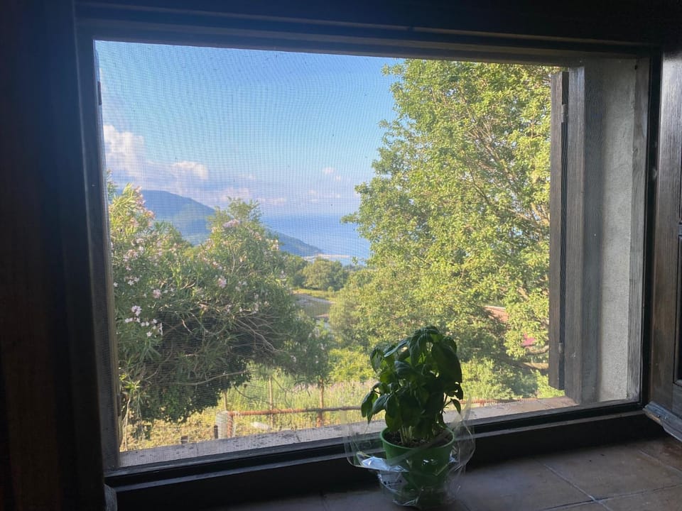 View (from property/room)