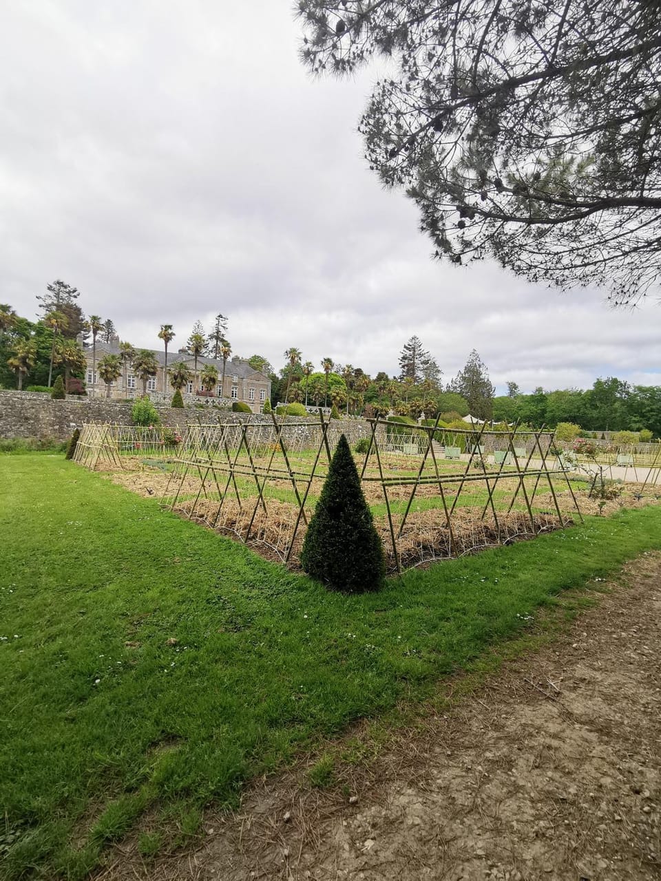 Natural landscape, Garden