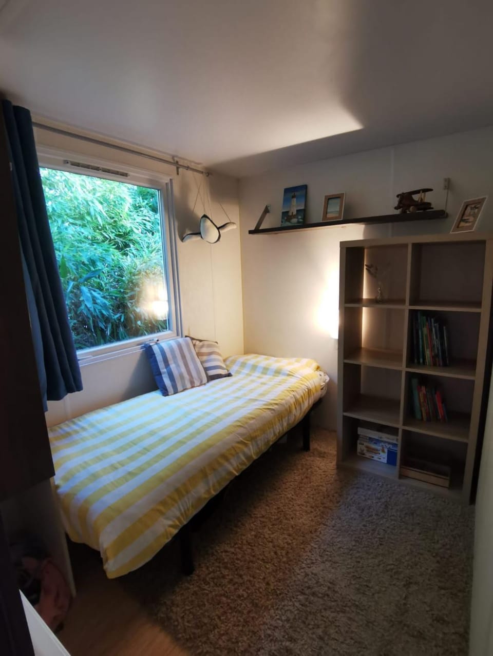 Bed, Library, Photo of the whole room, Bedroom
