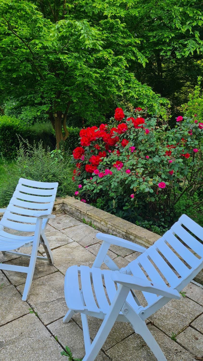Spring, Garden