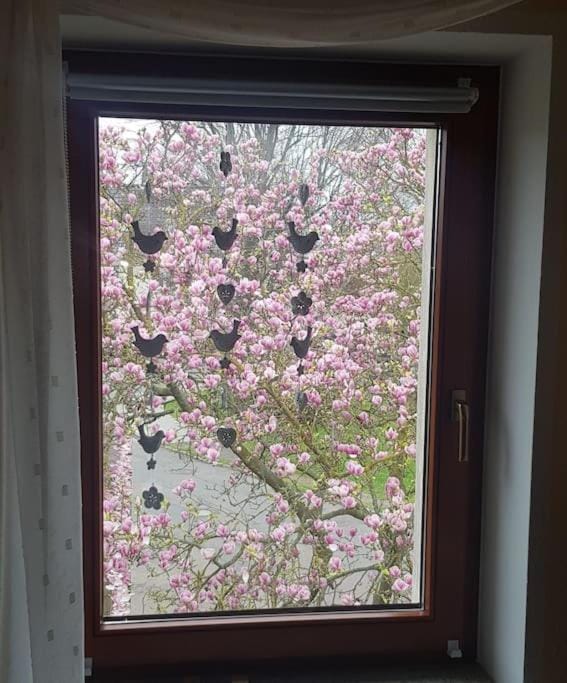 Wohnung im Grünen, Haus Cara, 120m², 4 Zi, Kü, Bad Apartment in Thuringia, Germany