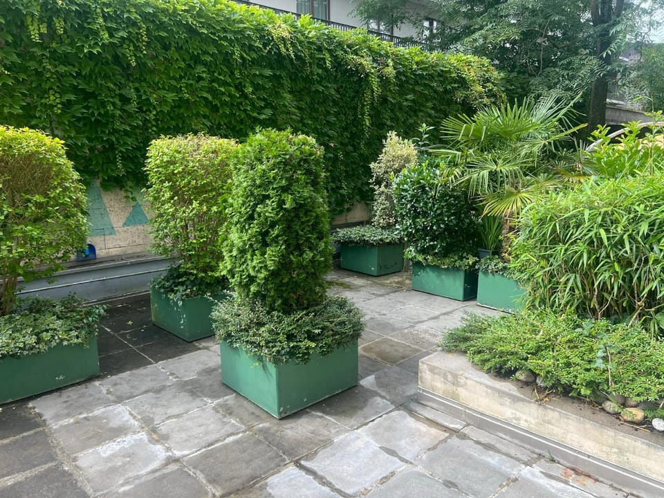 Garden, Garden view