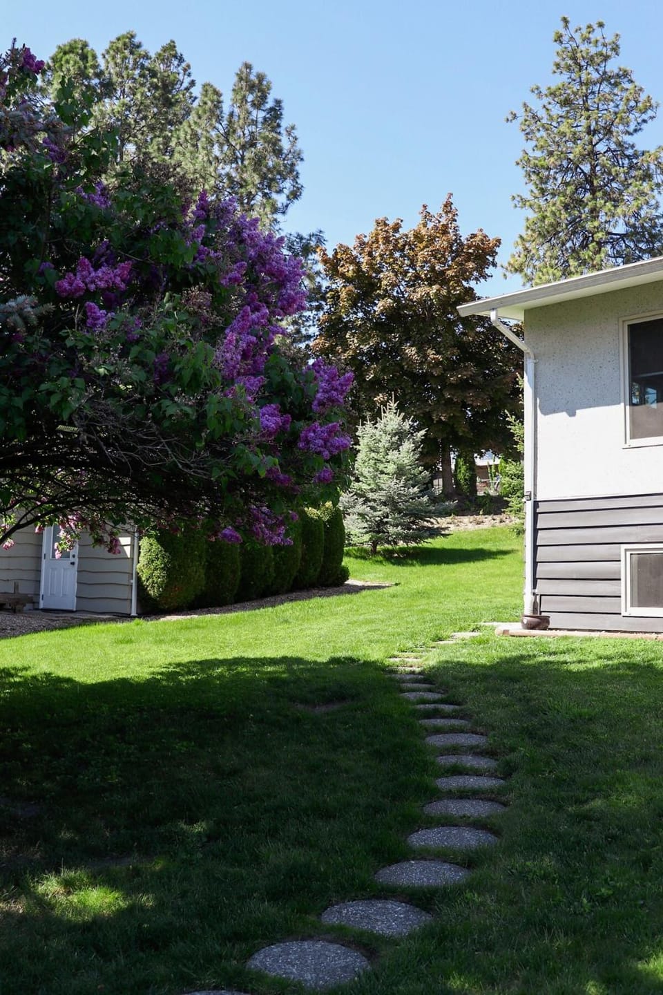 Property building, Spring, Natural landscape