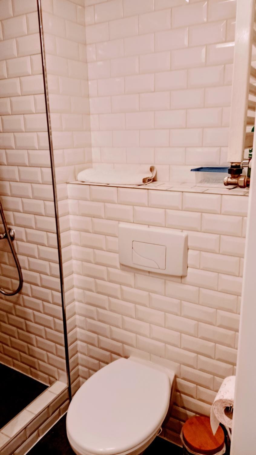 Shower, Toilet