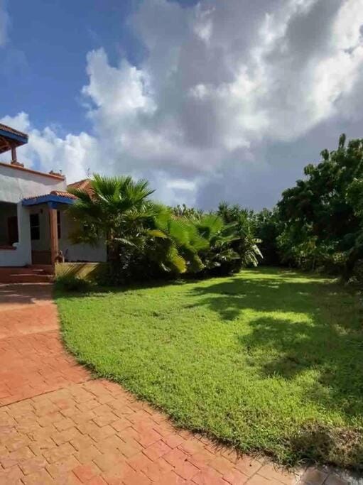 Natural landscape, Garden