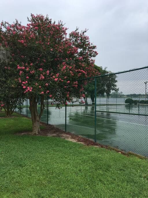Spring, Day, Natural landscape, Tennis court