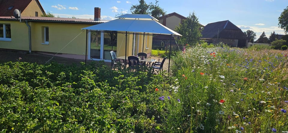 Landleben! Bungalow Feldblick 5 Personen House in Mecklenburgische Seenplatte