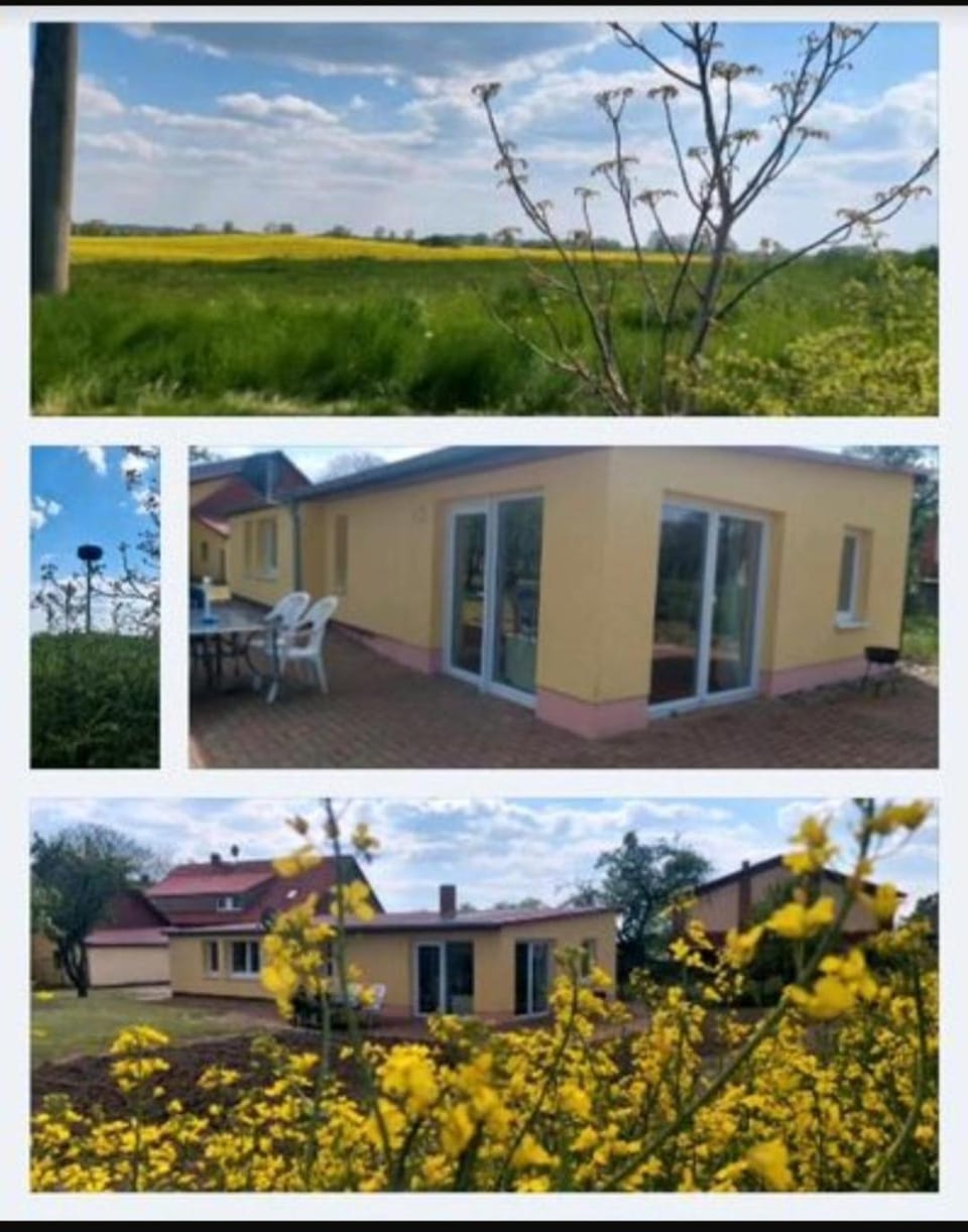 Landleben! Bungalow Feldblick 5 Personen House in Mecklenburgische Seenplatte