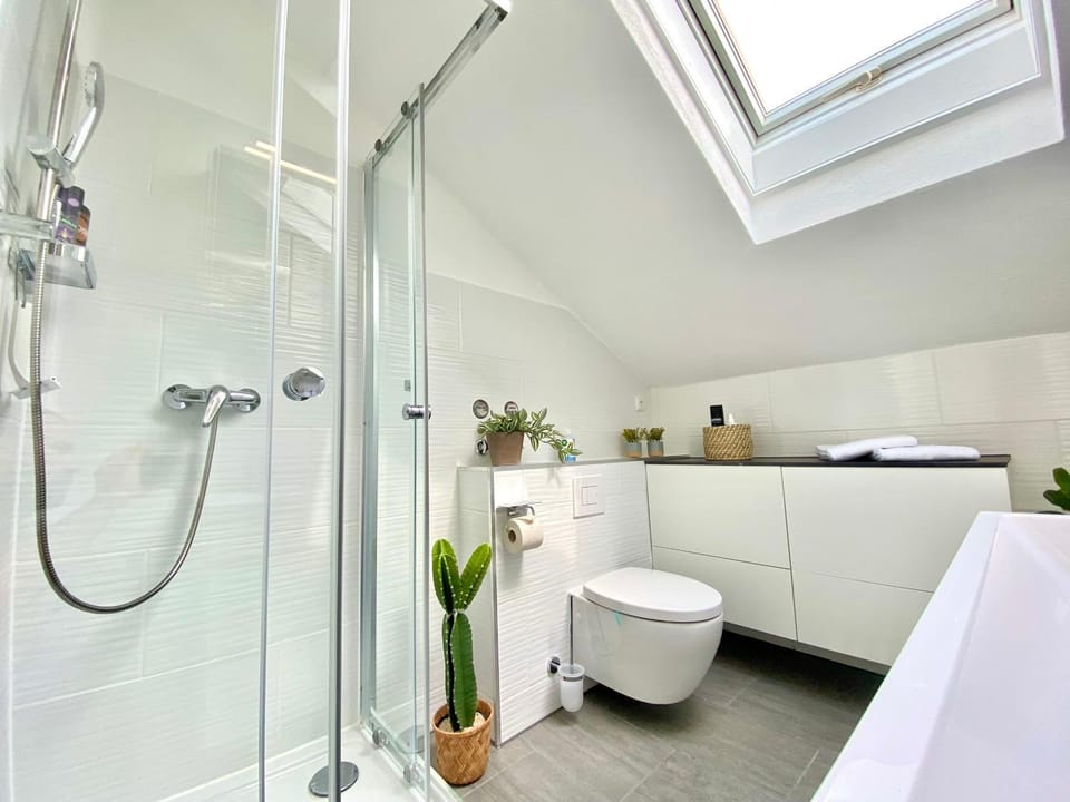 Shower, Toilet, Bathroom, towels