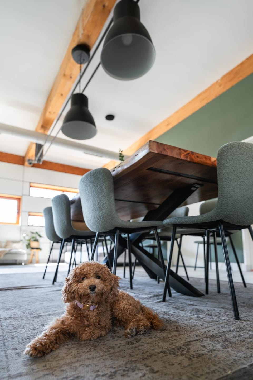 Living room, Dining area, pet friendly