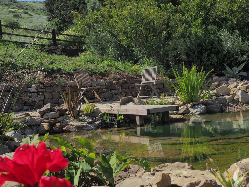Garden, Swimming pool