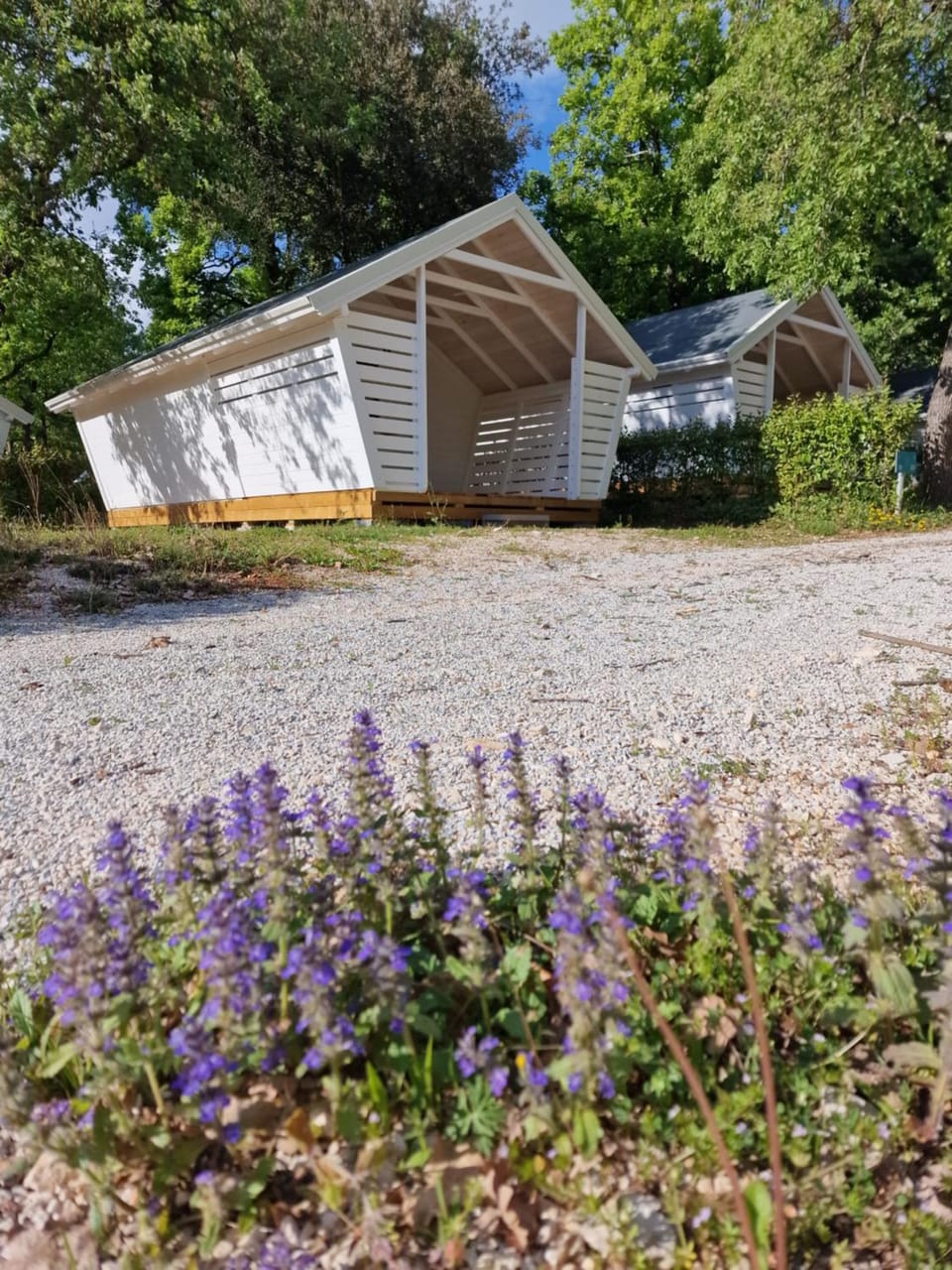 Property building, Spring, Garden, Garden view
