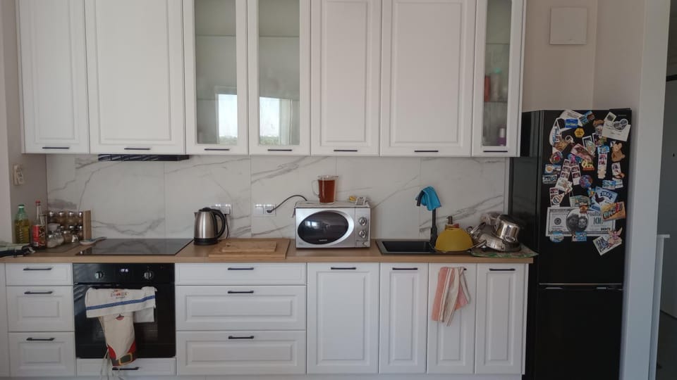 Kitchen or kitchenette, dishwasher, stove