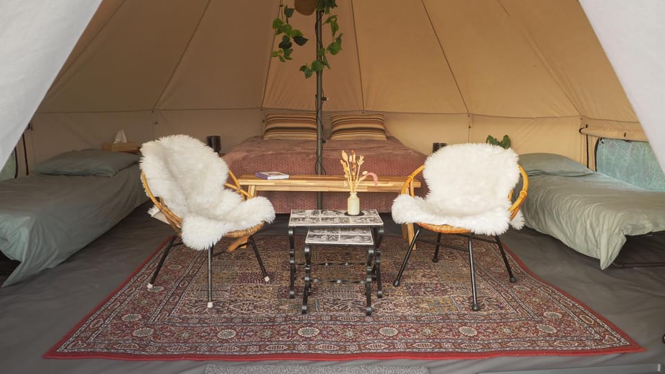 Photo of the whole room