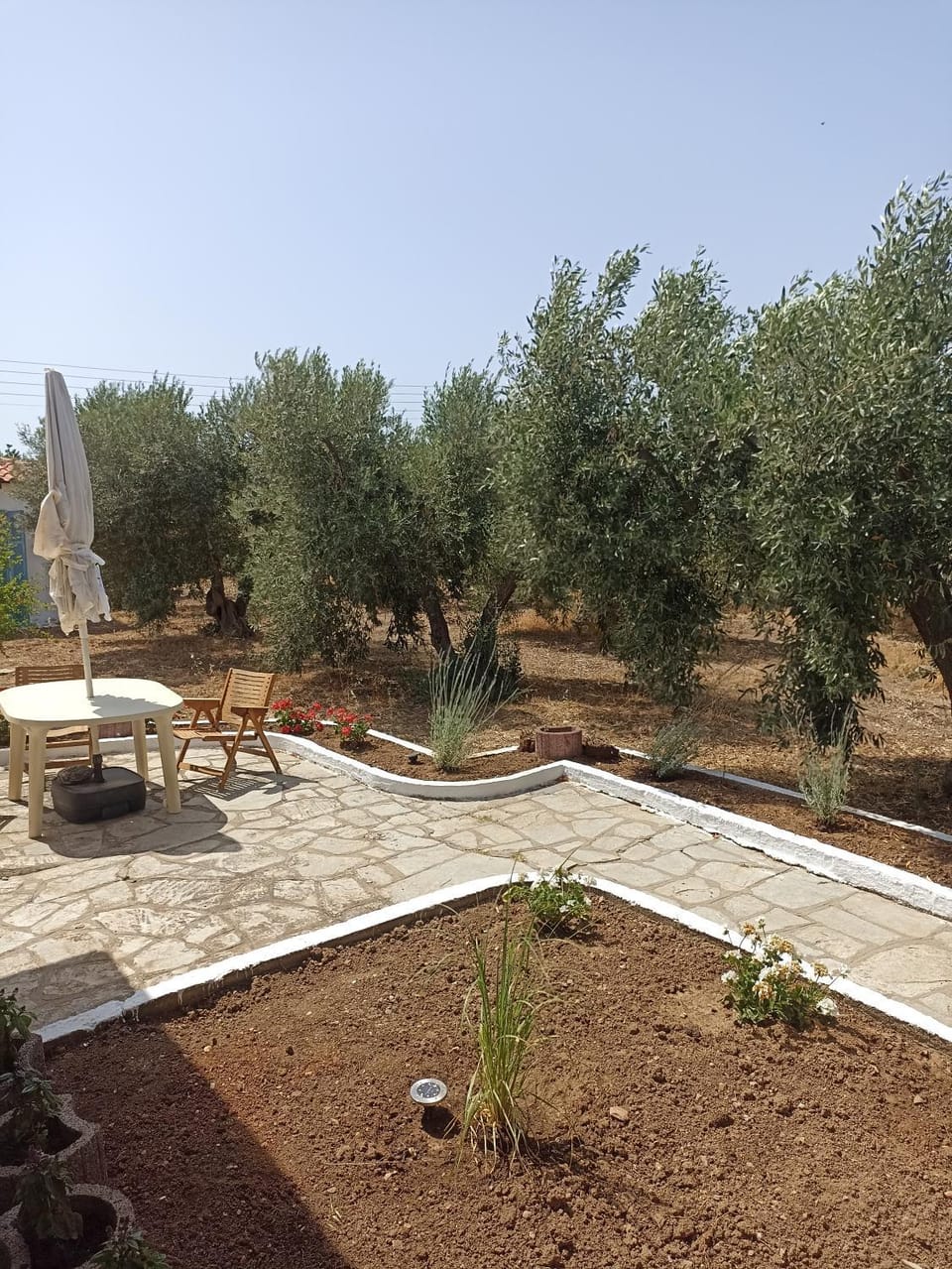 Kalelia Apartment in Halkidiki