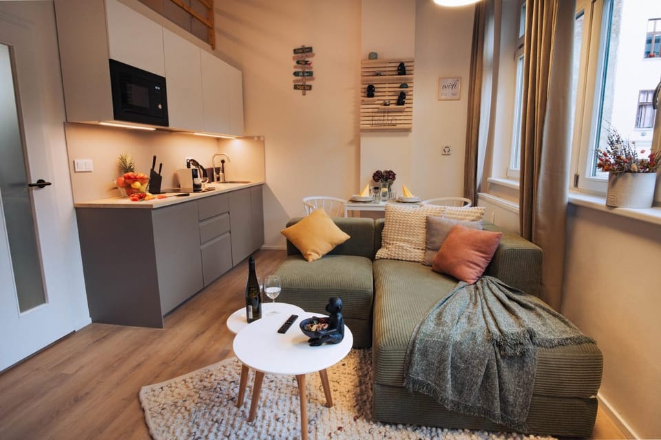 Chic Duplex in Historic Center & Netflix Apartment in Brno
