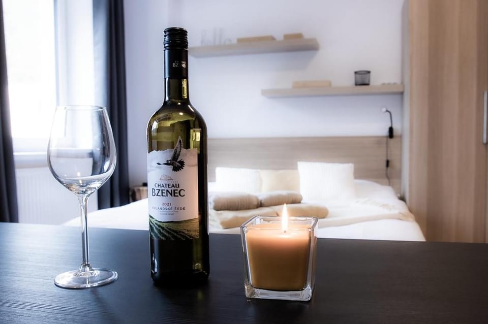 Jáchymov STARt point no 41 - Rezidence K Lanovce Apartment in Saxony