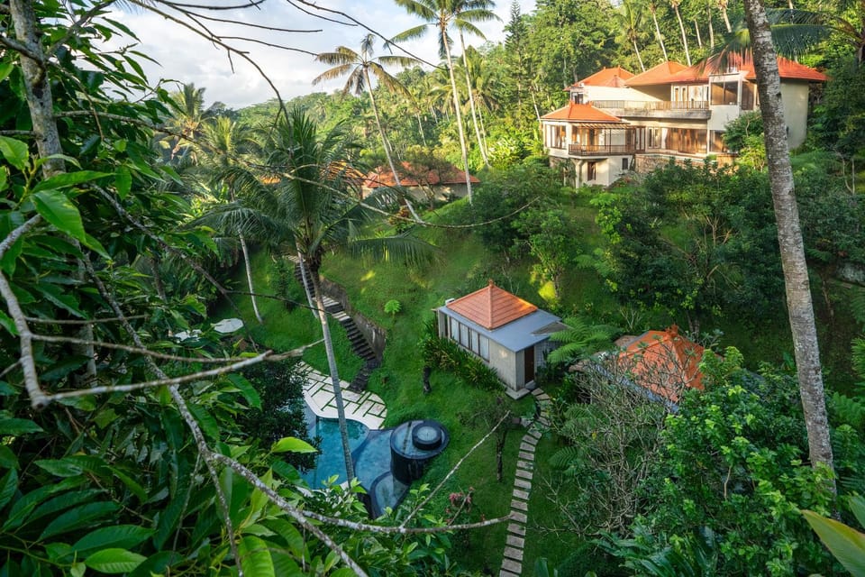 Property building, Natural landscape, Garden view