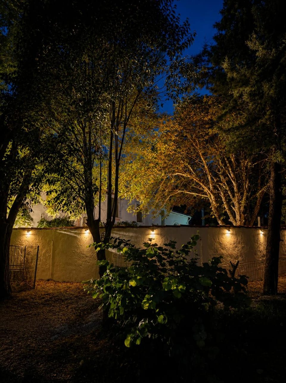 Night, Garden