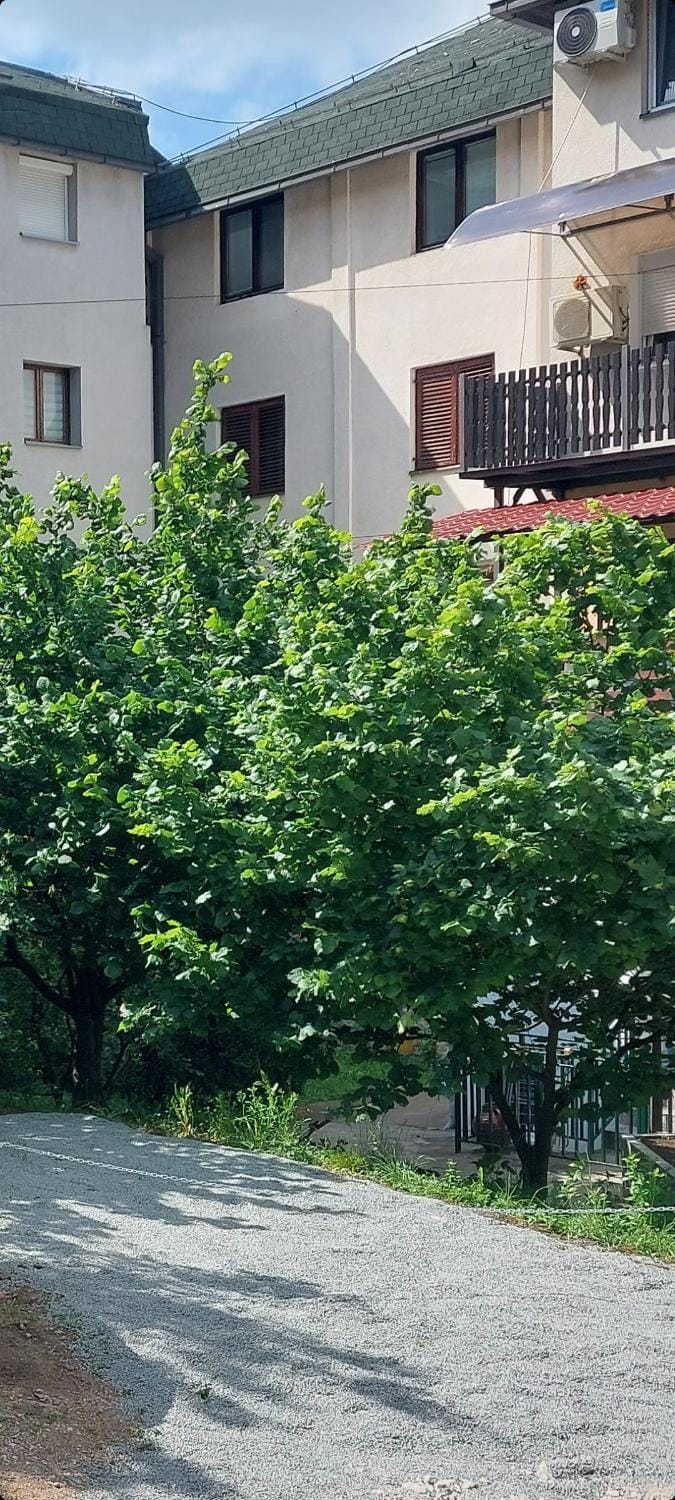 Apartman La Viva Sokobanja Apartment in Serbia