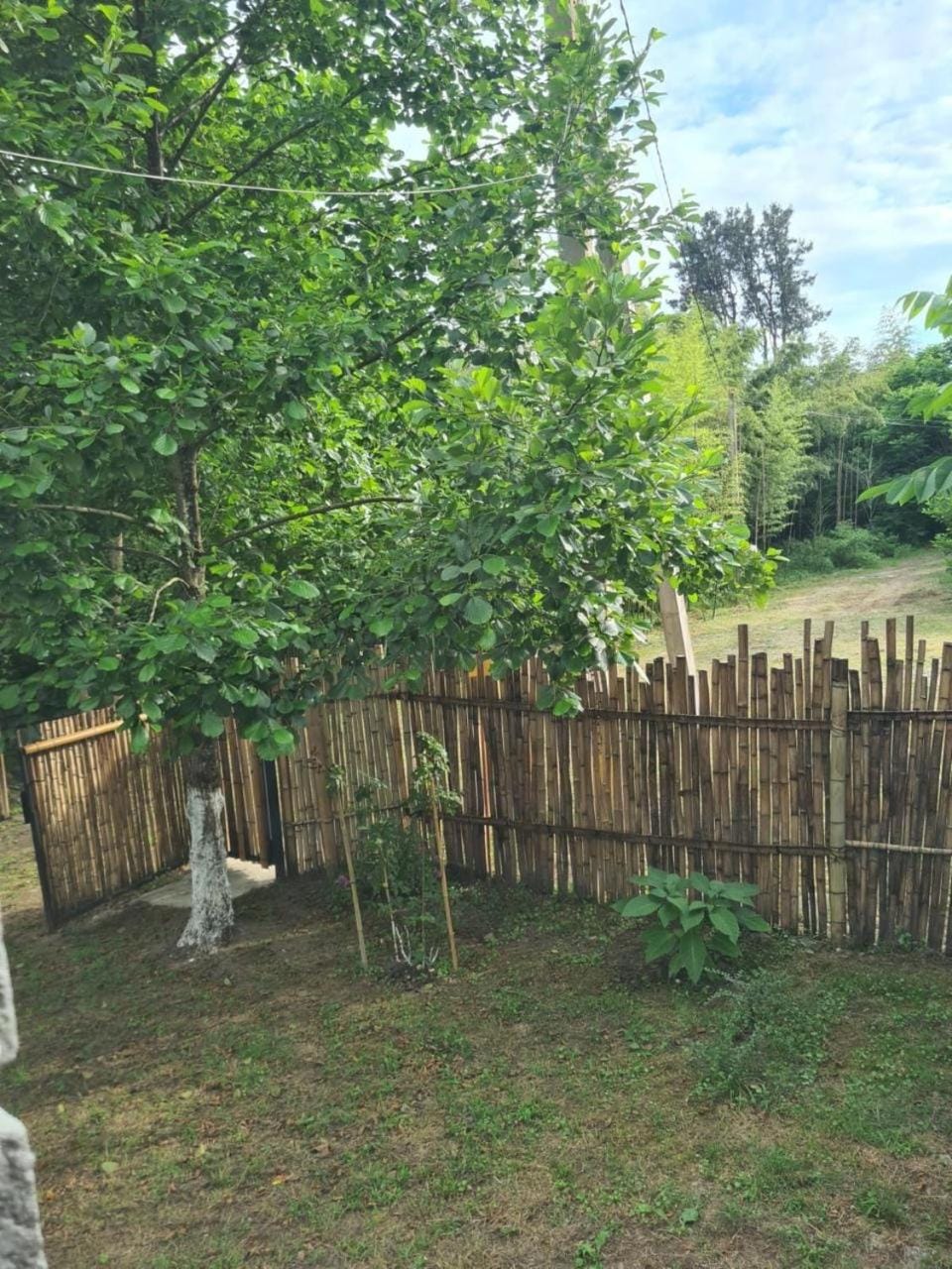 Natural landscape, Garden, Garden view