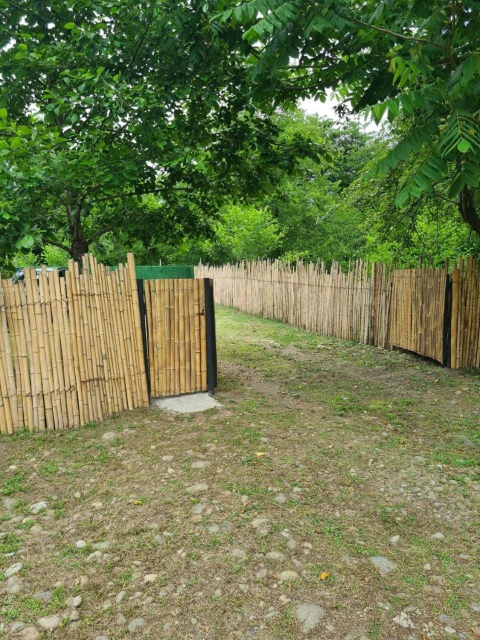 Natural landscape, Garden, Garden view
