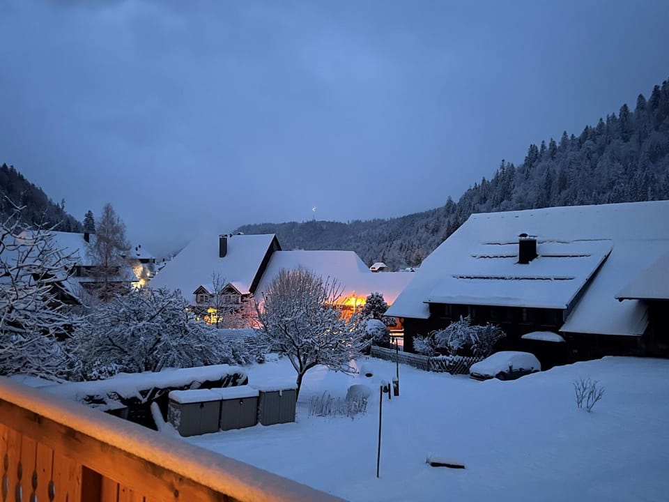 Schwarzwaldhaus - Fewo Fichte, St Blasien - Menzenschwand Apartment in Baden-Württemberg
