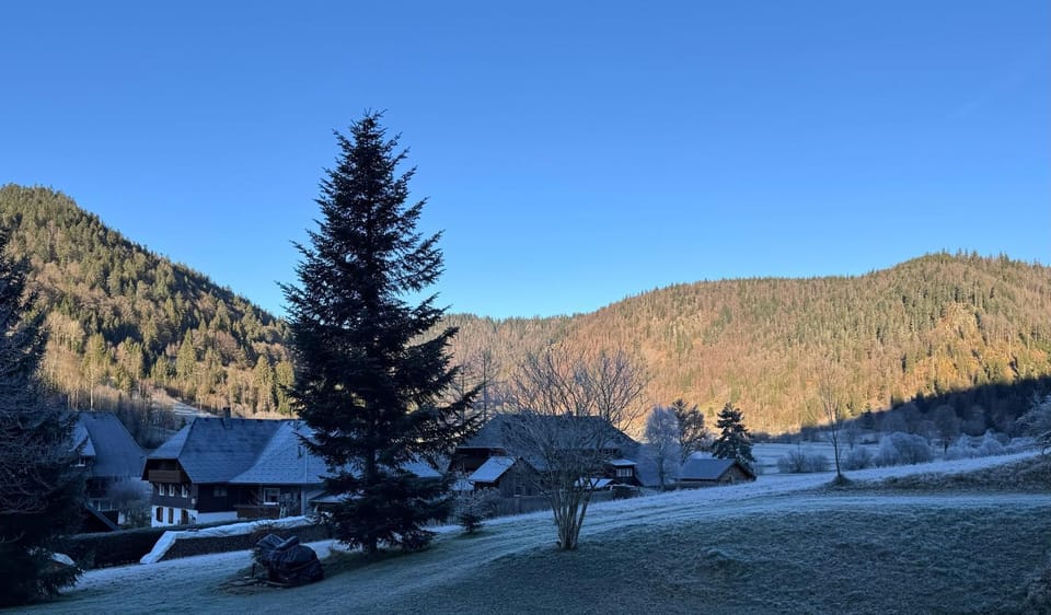 Schwarzwaldhaus - Fewo Fichte, St Blasien - Menzenschwand Apartment in Baden-Württemberg