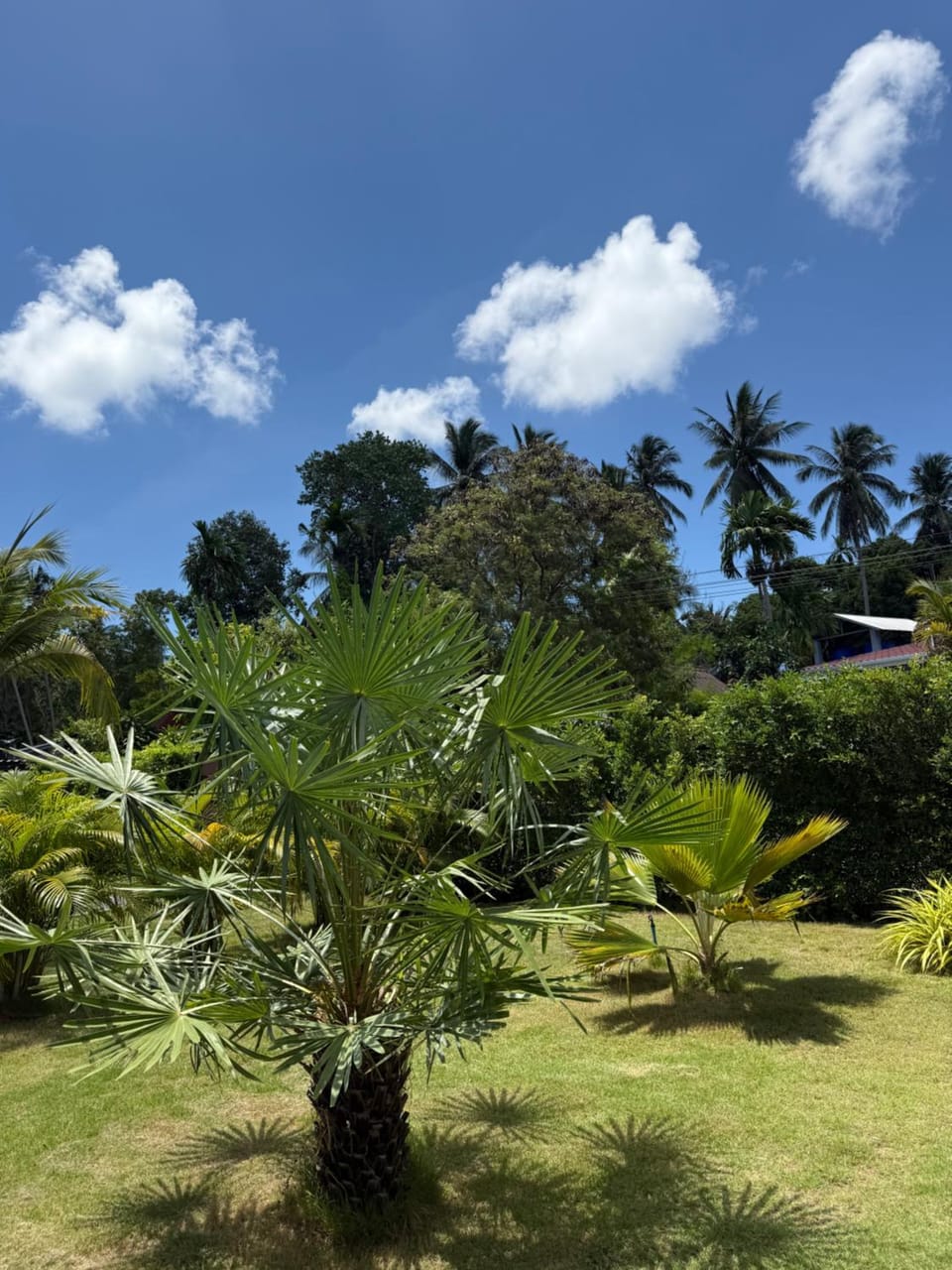 Garden, Garden view