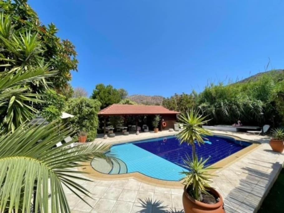 Garden, Garden view, Swimming pool