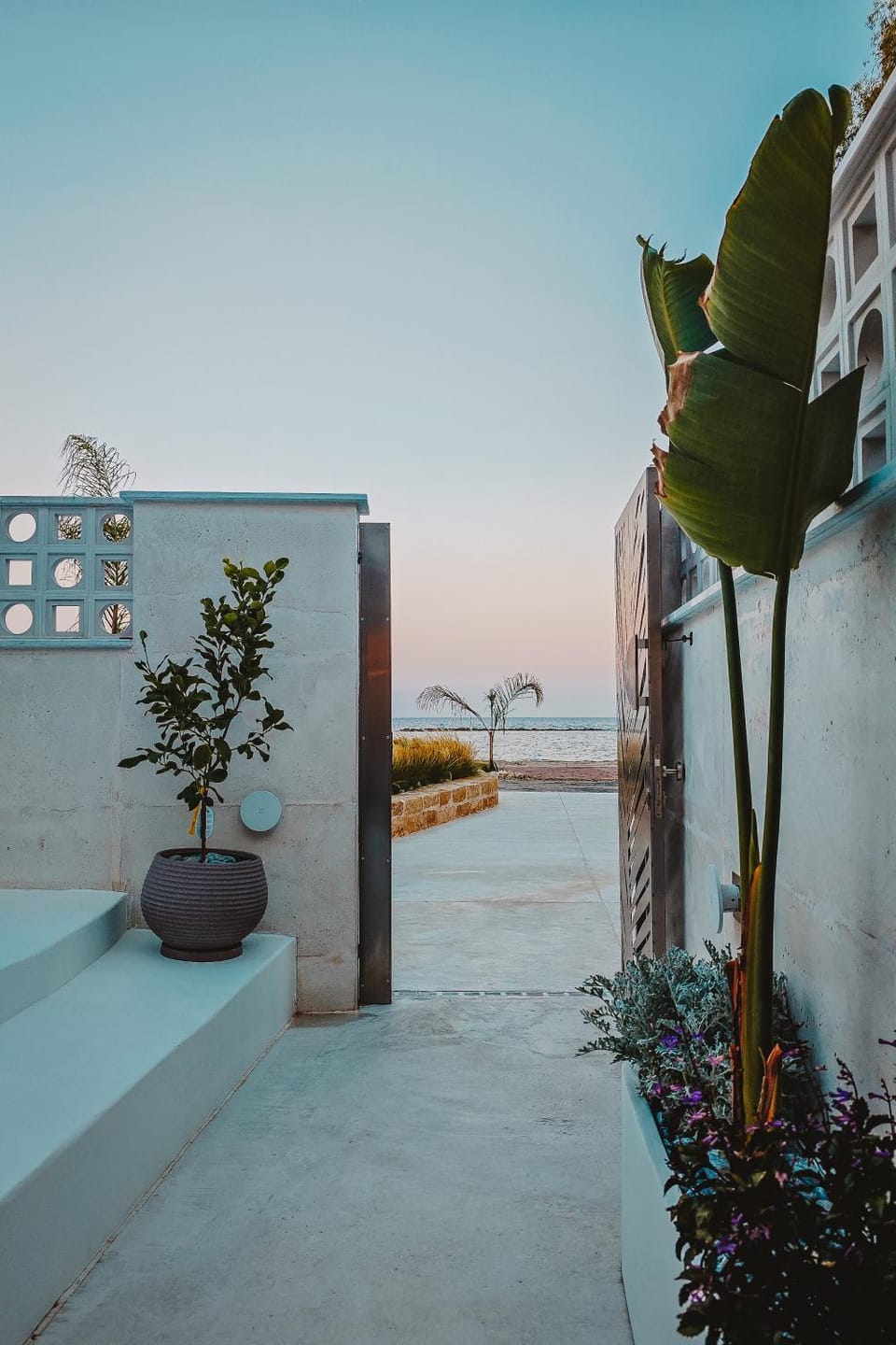 Q Coconuts Seaside Suites Apartment in Germasogeia