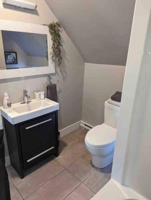 Dominion Place Studio Apartment in Moncton