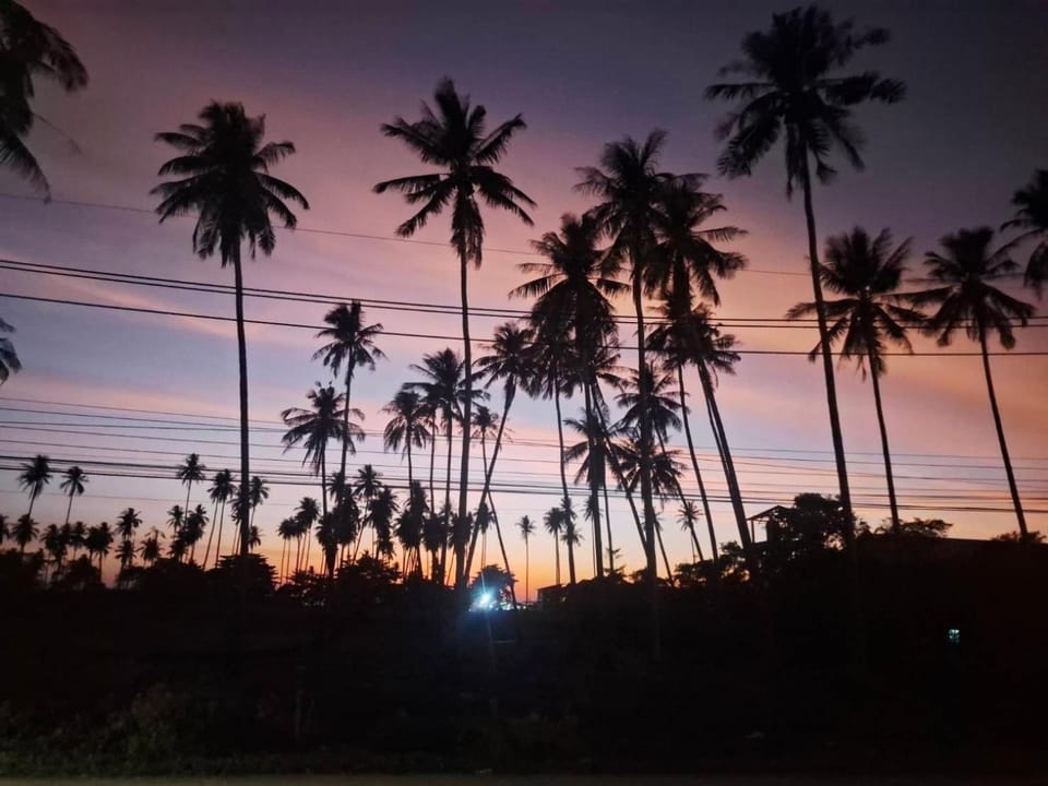 Natural landscape, Sunset