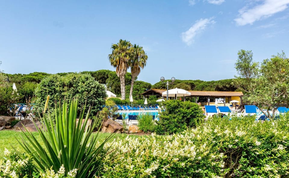Garden, Swimming pool