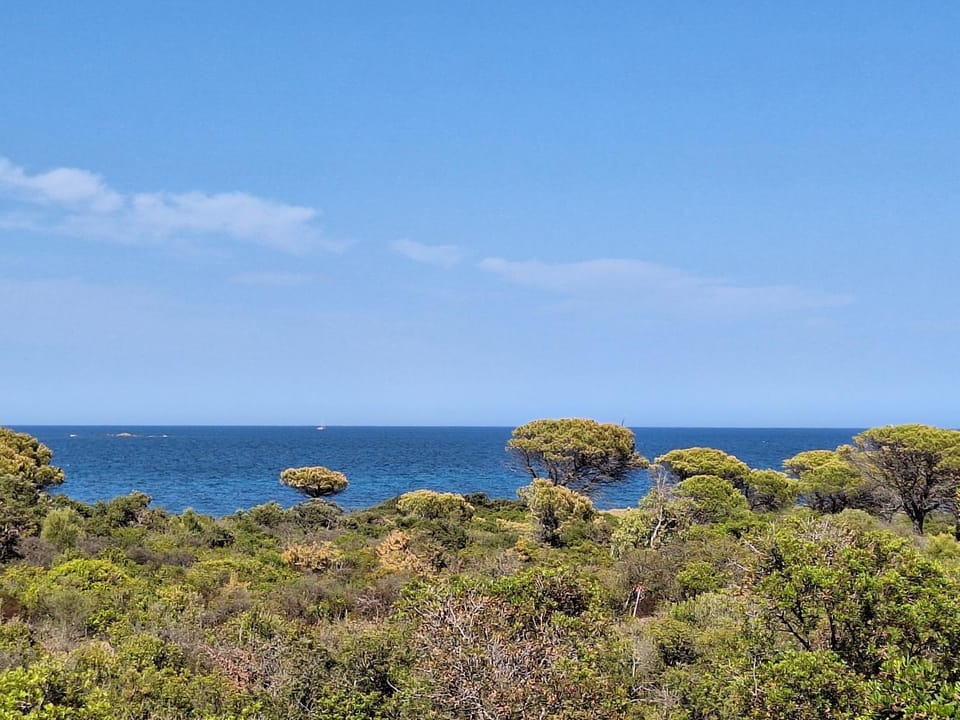 Bijoux maison fronte mare House in Sardinia