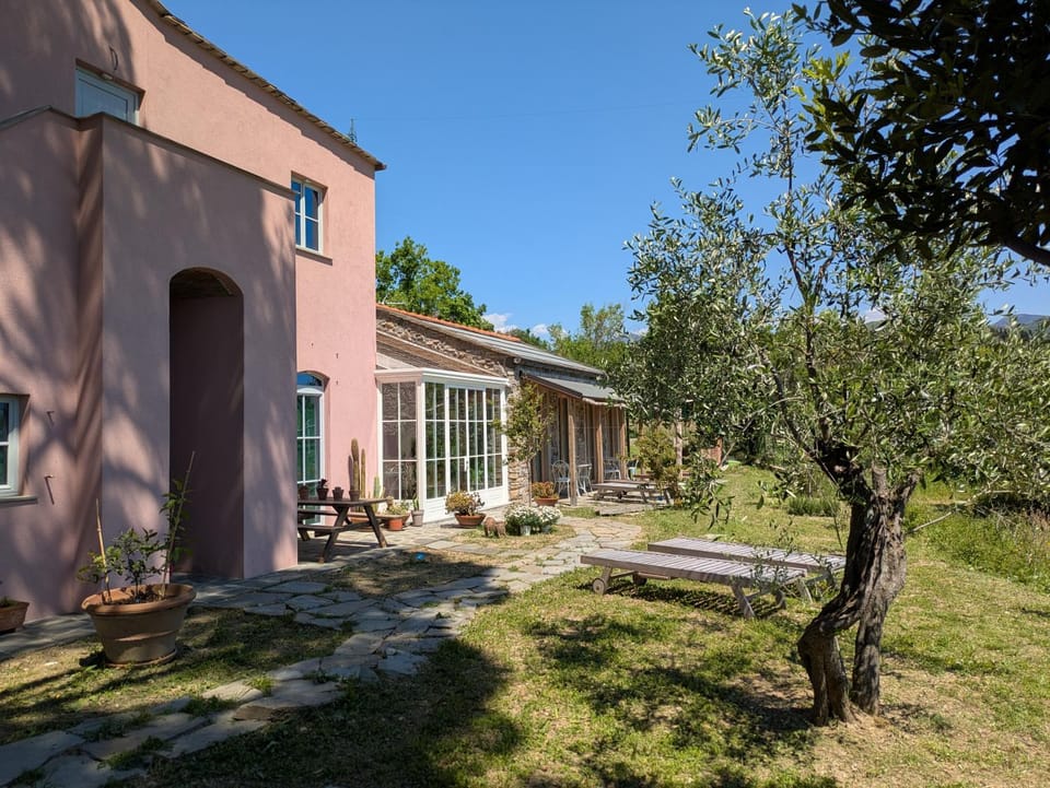 Property building, Garden, Garden