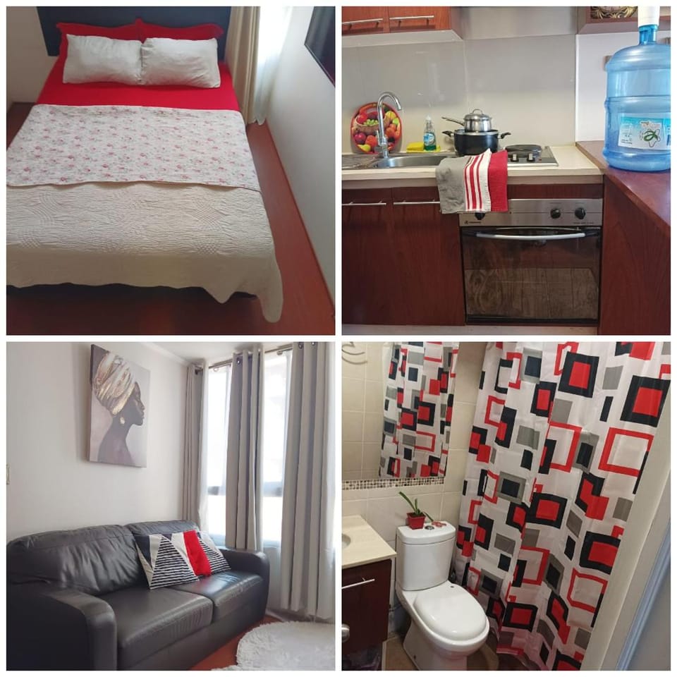 Pieza de hombre-individual- baño compartido - Centro Apartment in Santiago