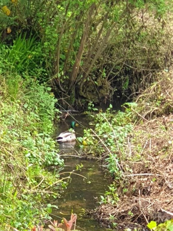 Appartement T2 hippodrome Apartment in Séné